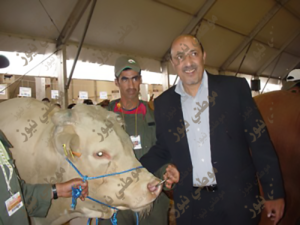 أمحمد كريمين أول مربي الأبقار والخيول في المغرب