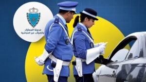 مفتشي الجمارك 