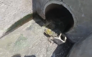 كارثة بيئية في بوزنيقة