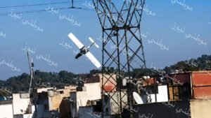 الطائرة أثناء سقوطها في الغابة