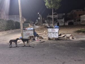جانب من حي الفلين في هذه الاثناء