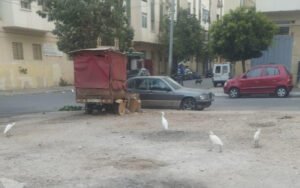 هذه هي السيارة التي تمت سرقتها اليوم