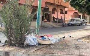 صورة للأزبال متراكمة اليوم الاثنين 