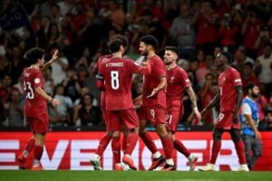 المنتخب البرتغالي